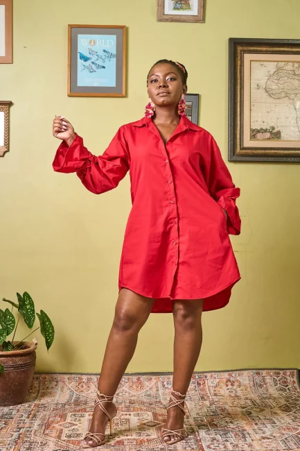 Cotton above knee shirtdress smocking detail